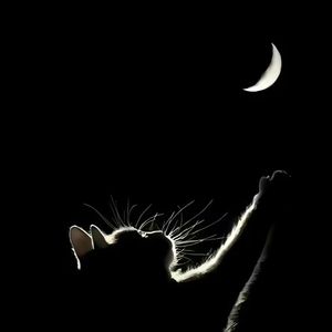 在无尽的夜里 寻找着微光