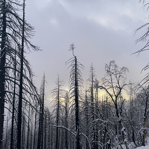 筋久欢迎你 - 2023:12:30 01.17.wav