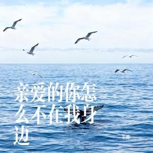 亲爱的你怎么不在我身边 (Cover 江美琪)