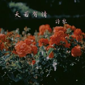 天若有情