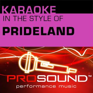 Kube (Karaoke Lead Vocal Demo)[In the style of Prideland]