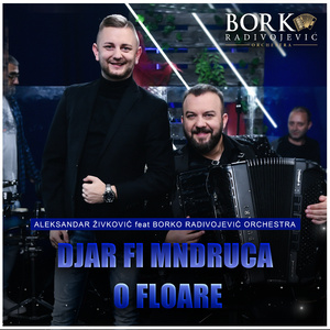 Djar fi mndruca o floare