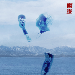 I DON'T NEED THE DRUGS