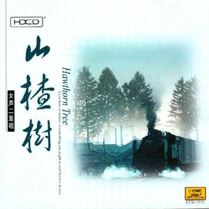 送别电影《城南旧事》插曲