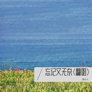 忘记又无奈/忘记