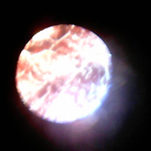 tranor