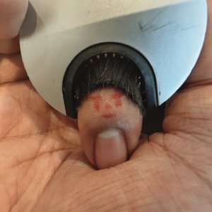 因为单身的缘故