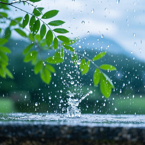 催眠雨声钢琴声：淅沥、和弦、宁静
