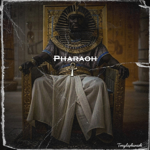 HOLY LAND (Radio version)