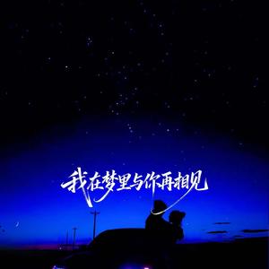 我在梦里与你再相见