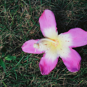 明天很远，你很近