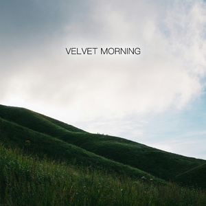 Velvet Morning