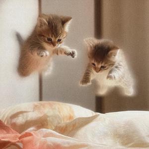 Low Ceiling, Late Snow