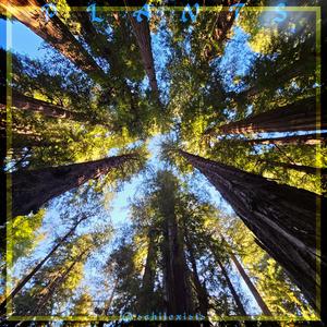 Plant Mystics (Plant Version)