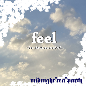 feel (Instrumental)