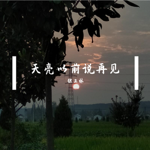 天亮以前说再见