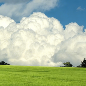 我也不知道啊，就是这么爱你