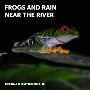 Lively Night in the Jungle