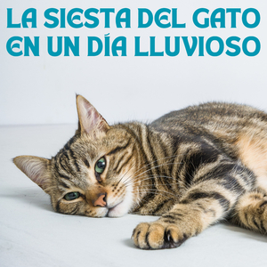 Sabiduría Tormentosa