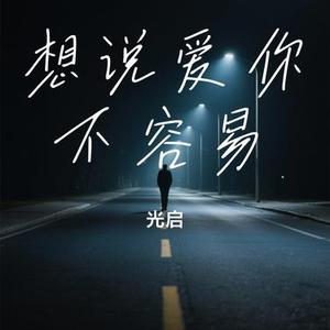 想说爱你不容易 (光启 Remix)