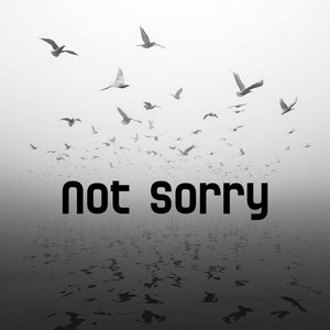 Not Sorry