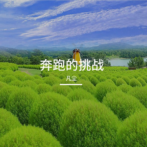 少年的绽放