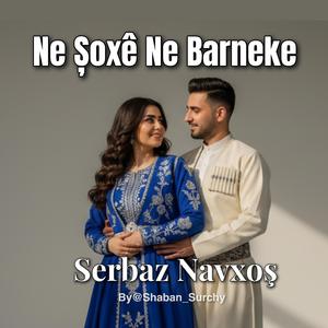 Ne Șoxê Ne Barneke