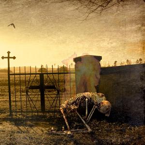 Plants and Other Wild Animals