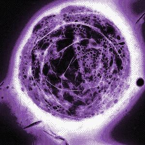 h2O! (feat. Luclover)