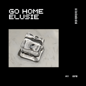 庇护地 Go Home
