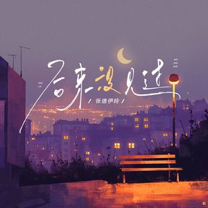后来没见过