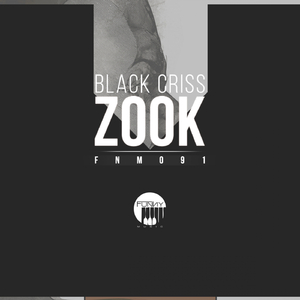 Zook (Original Mix)