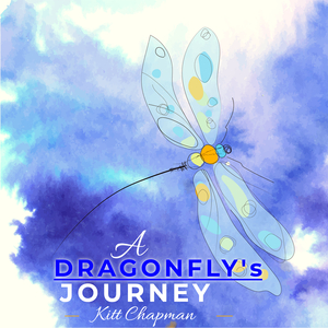Dragonfly's Discoveries