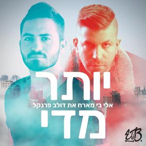 יותר מדי (feat. דולב פרנקל)