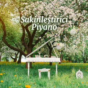 Gece Yarısı Melankoli