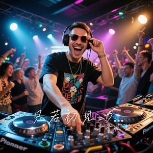 只若初见-DJ (Cover 张德伊玲)