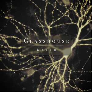 Brain (Glasshouse Cover)