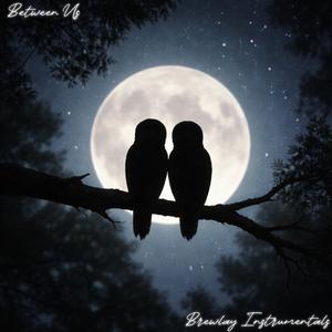 Between Us