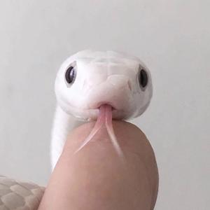 XXXTENTACION-xm（as3xual remix）