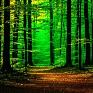 Amidst the April Mist