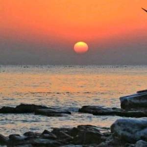 春庭雪（原:等什么君）