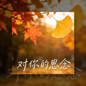 对你的思念