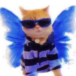 十七岁少女金色心