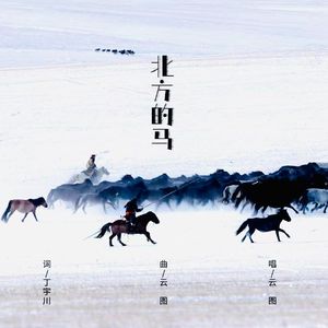 北方的马