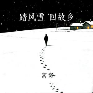 踏风雪 回故乡