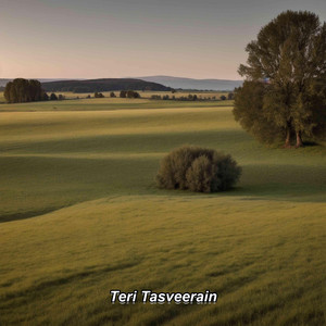 Teri Tasveerain