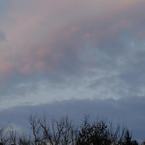 与她对话（Prod by Yzz）