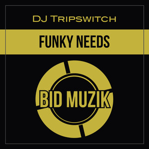 Funky Needs (Original Mix)