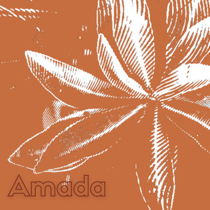 Amada