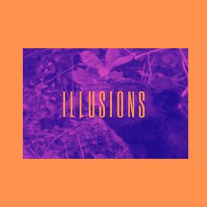 Illusions